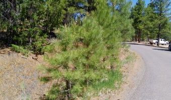 2805 N Dead Horse Lp, Alton, UT 84710