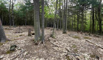 Map 212 Lot 49 Durrell Mountain Road, Belmont, NH 03220
