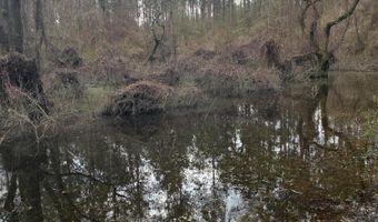 U.S. Highway 51, Bogue Chitto, MS 39629