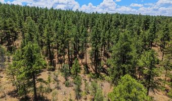 23251 Elk Trl, Aguilar, CO 81020