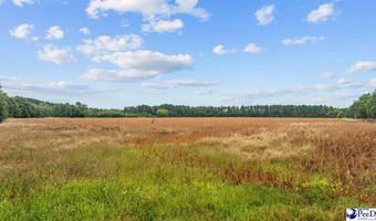 TBD Beverly Creek Rd, Bennettsville, SC 29512