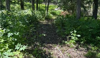 13102 Seaberg Ln, Bagley, MN 56621