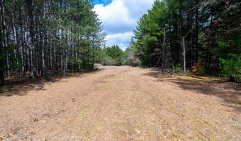 Dover Drive lot 3 +/- 87 Ac, Adams, WI 53910