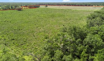 7009 129 Hwy, Bell, FL 32619