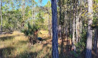 SMITH STREET, Astor, FL 32102