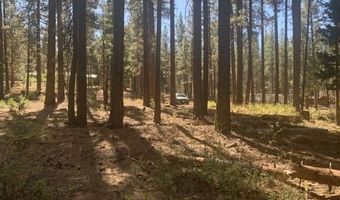 Edgewater Way lot 84, Adin, CA 96006