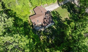 9707 Rogers Rd, Alanson, MI 49706