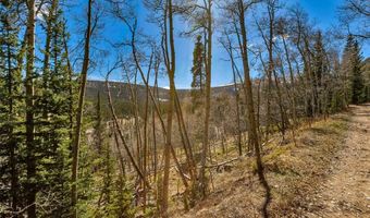 270 Co Rd 667 Lot 0, Alma, CO 80440
