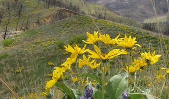 Tbd Gold Creek Way, Belfry, MT 59008