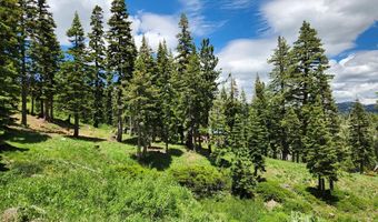 332 Snowshoe Rd, Bear Valley, CA 95223
