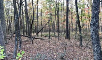 BIG HORN Trail, Augusta, WV 26704