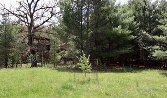 5826 S Morrison Rd, Alger, MI 48610