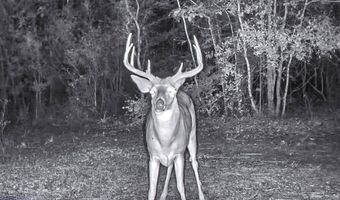Franklin Dr, Batesville, MS 38606