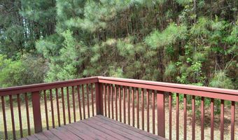 1005 Double Spring Ct, Apex, NC 27502