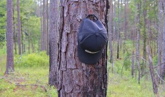 Hwy 9, Bruce, MS 38915