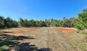Old Courthouse Road, Appomattox, VA 24522