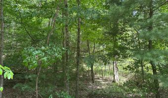 Rt. 1 Muddy Creek Mountain lot 1 & 2, Alderson, WV 24910