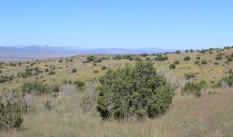Tract 56 Sierra La Rana, Alpine, TX 79830
