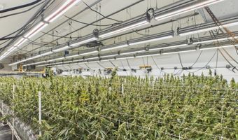 Fickle Hill Road, Arcata, CA 95521