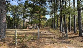 7262 N Brewington Rd, Alcolu, SC 29001