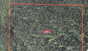 TBD OFF CR 426, Arnold, MI 49819