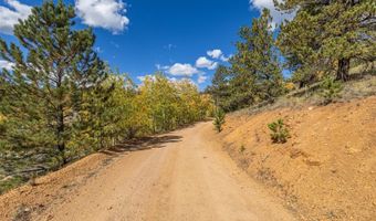 103 Gross Rd, Bailey, CO 80421
