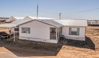 29 Rose Ln, Animas, NM 88020