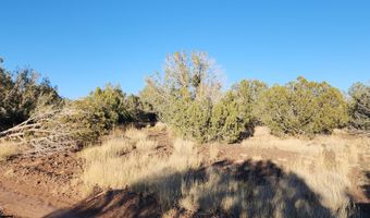 88- D Rose Ln, Ash Fork, AZ 86320