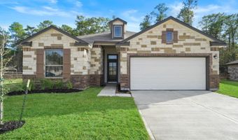 107 Little Spring Ct, Anahuac, TX 77514