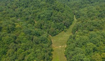 50 Hg Williams Dr, Bays, KY 41310