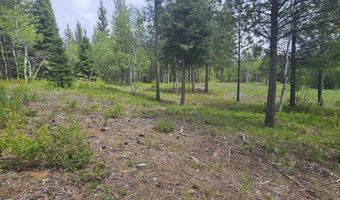 23 Sawtooth Loop, Cascade, ID 83611