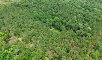 Fox Paw Court, Branchville, SC 29432