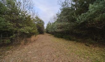 14061 Erdman Rd, Arcadia, MI 49613