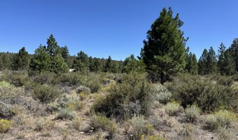 Bufflehead Drive 18, Bonanza, OR 97623