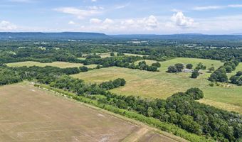 16036 E Us Highway 64, Atkins, AR 72823