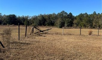 353 Wilder Rd, Allenhurst, GA 31301