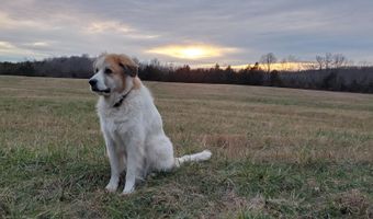 4775 S 50th Rd, Aldrich, MO 65601