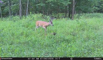 566 A Tunnel Ridge Rd, Argillite, KY 41121