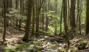 Boodle Hole, Accord, NY 12404