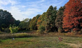 303 Westwood Rd NW, Alden, MI 49612