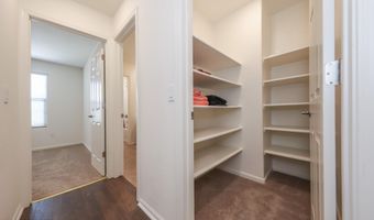 937 W Calle Tronco Seco, Sahuarita, AZ 85629