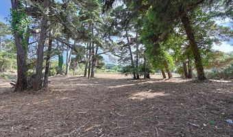 SW Edison Ave, Bandon, OR 97411