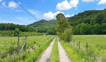 423 Cad Campbell Rd, Bakersville, NC 28705