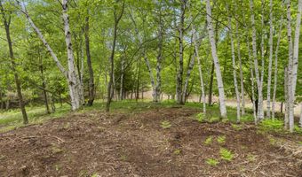 15380 Lake Bluff Dr, Arcadia, MI 49613