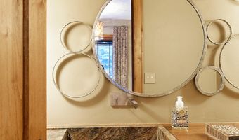 1395 Sierra Vista Dr Unit 1, Aspen, CO 81611