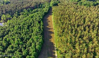 425 Rose Hill Rd, Bentonia, MS 39040