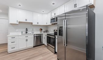 1005 N MOUNT St, Baltimore, MD 21217