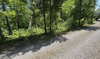 0 94+/- Acres Lakeview Dr, Albany, KY 42602