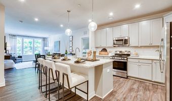 21700 Dovekie Ter Plan: Farleigh, Ashburn, VA 20147