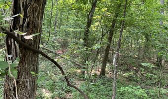 Lots 7 & 8 County Road 206, Alton, MO 65606